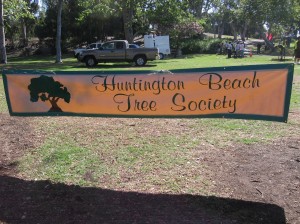 H.B. Tree Society Banner