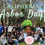 2024 CA Arbor Day
